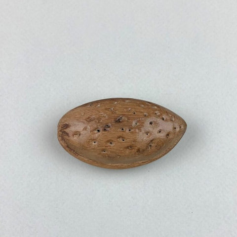 Broșă Almond Seed