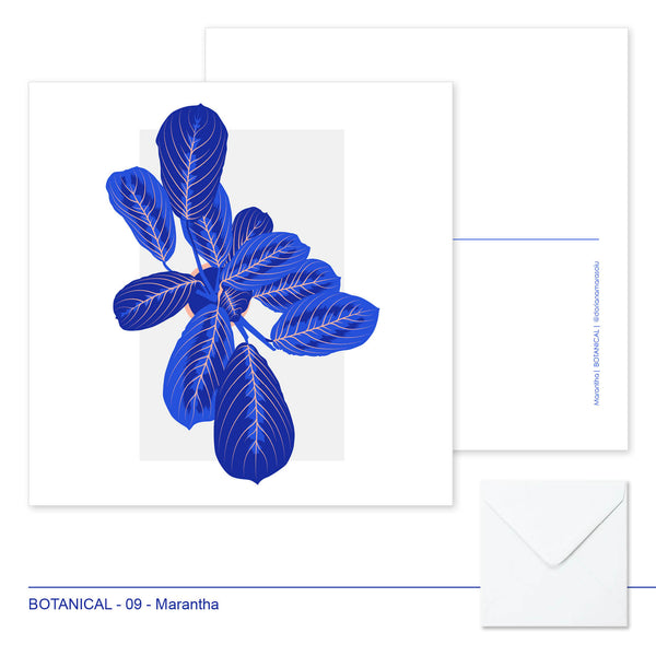 Botanical postcards